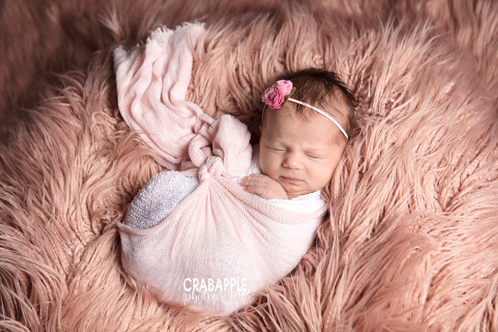 pink baby girl newborn portraits