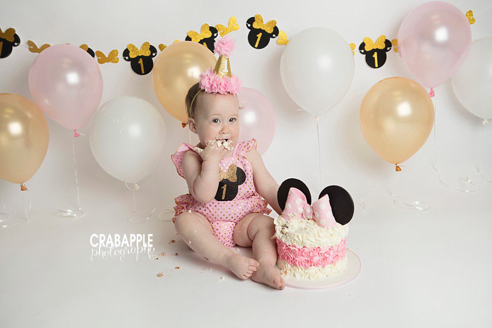 southern nh first birthday photographer