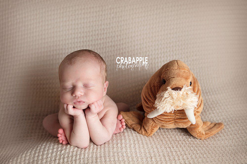 new baby photos with stuffed animal walrus