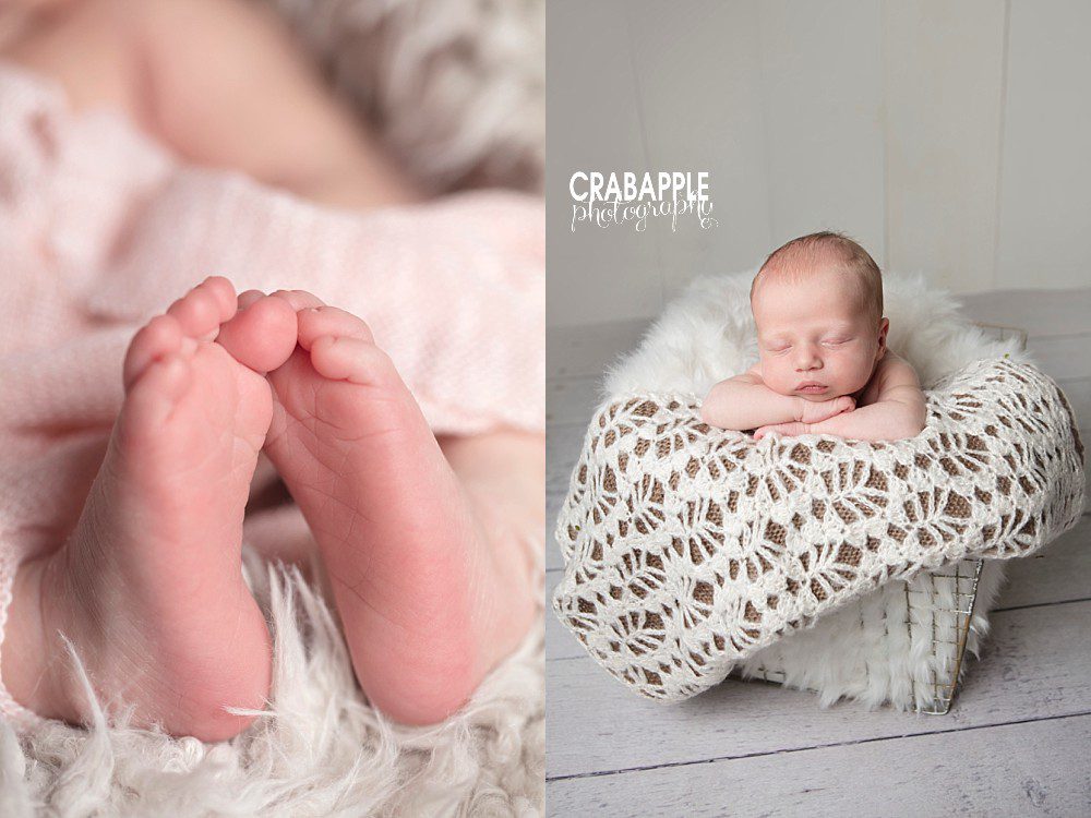 newborn photos massachusetts