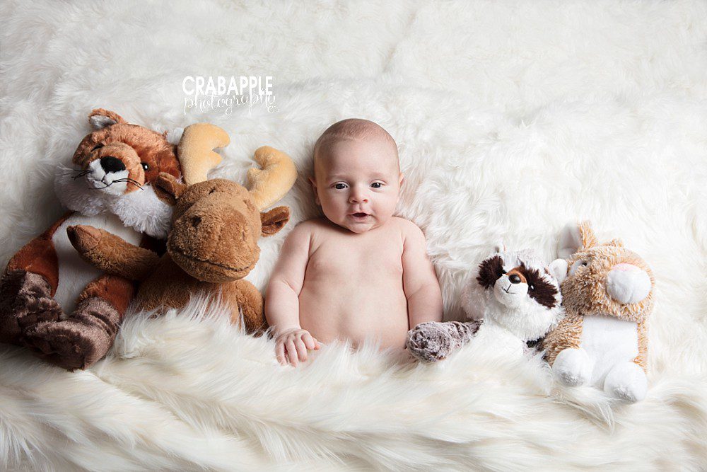Baby portrait photography with stuffed animals