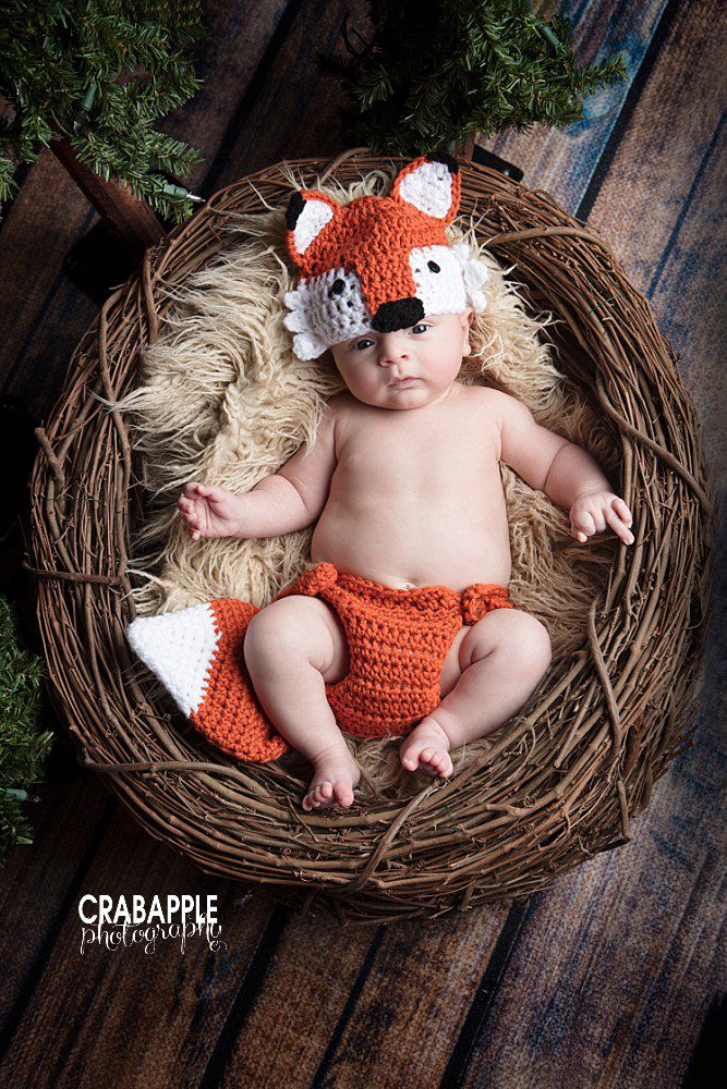baby fox themed baby photos MA