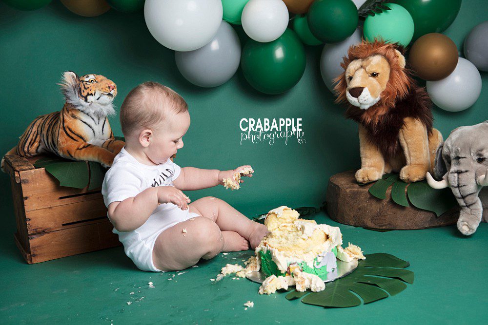 cake smash photos using stuffed animals