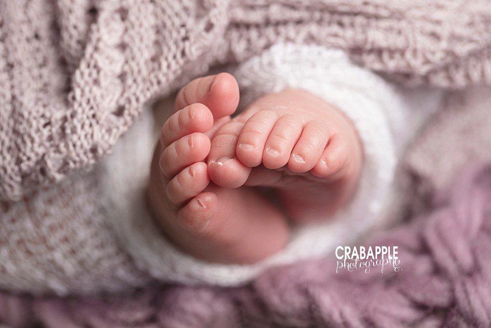 newborn macrophotography portraits