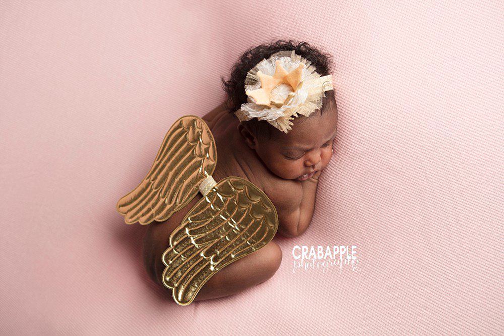 newborn portraits with angel wings