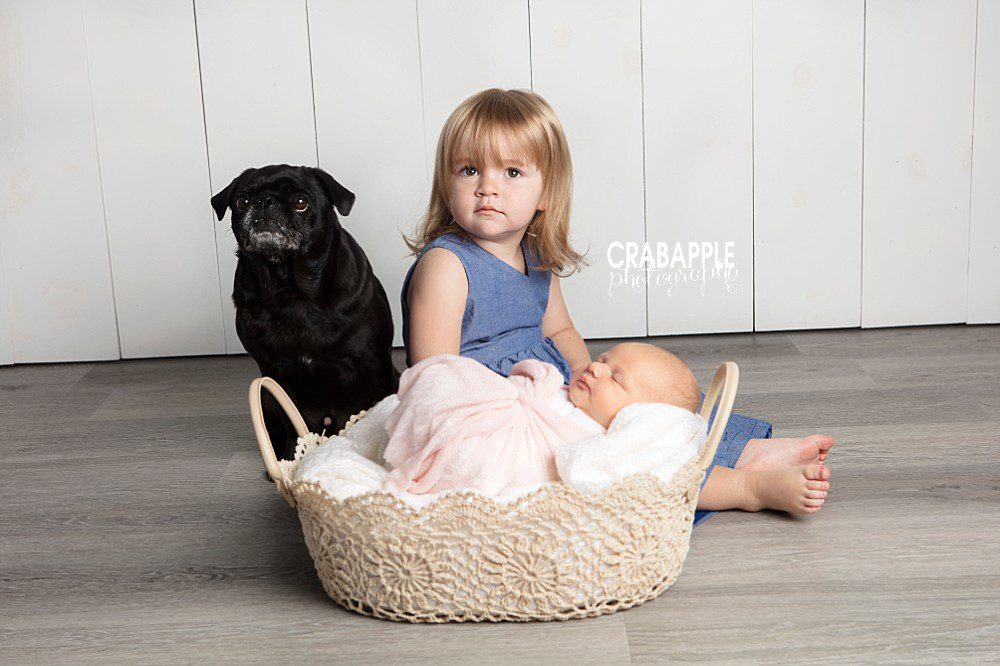 somerville newborn photos with sibling and dog