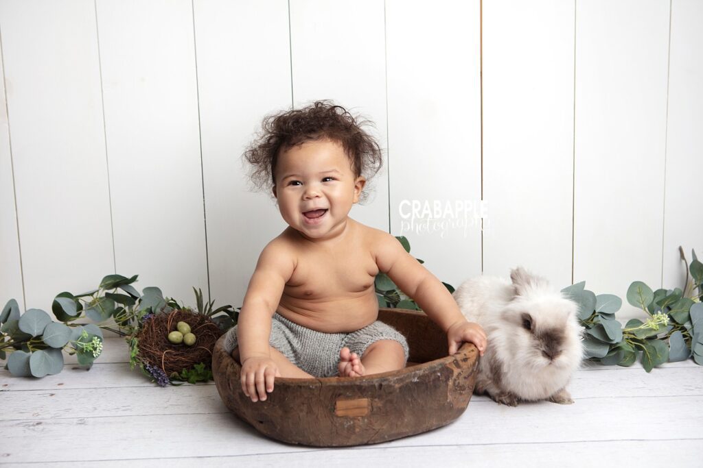 andover baby photographer easter photos live bunny