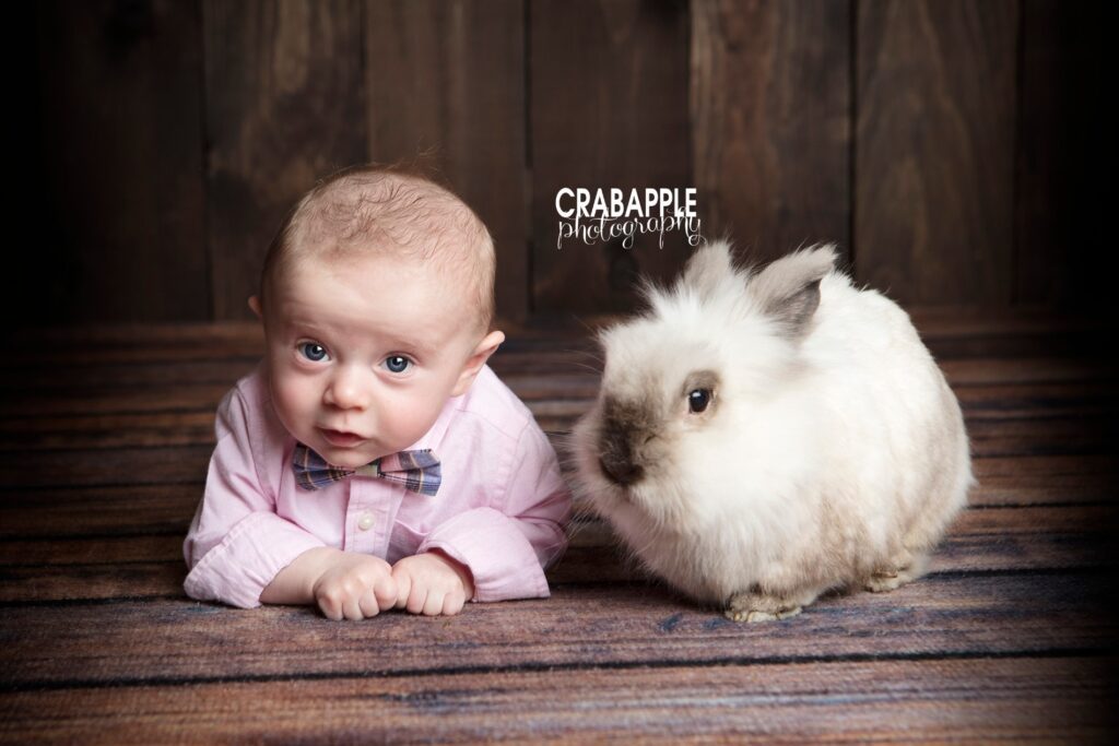 andover baby photographer easter portraits with bunny