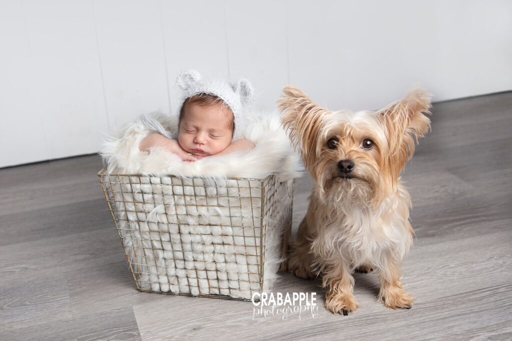 newborn photos with pet dog