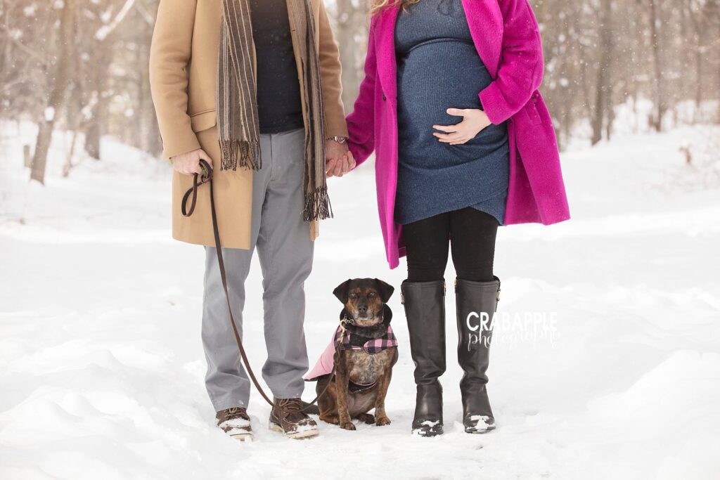 south boston maternity outdoor winter pregnancy photos with dog