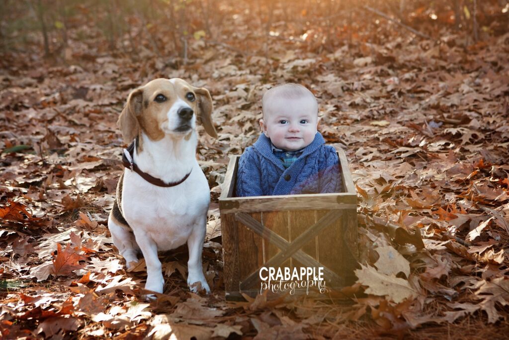 baby photos with pet dog