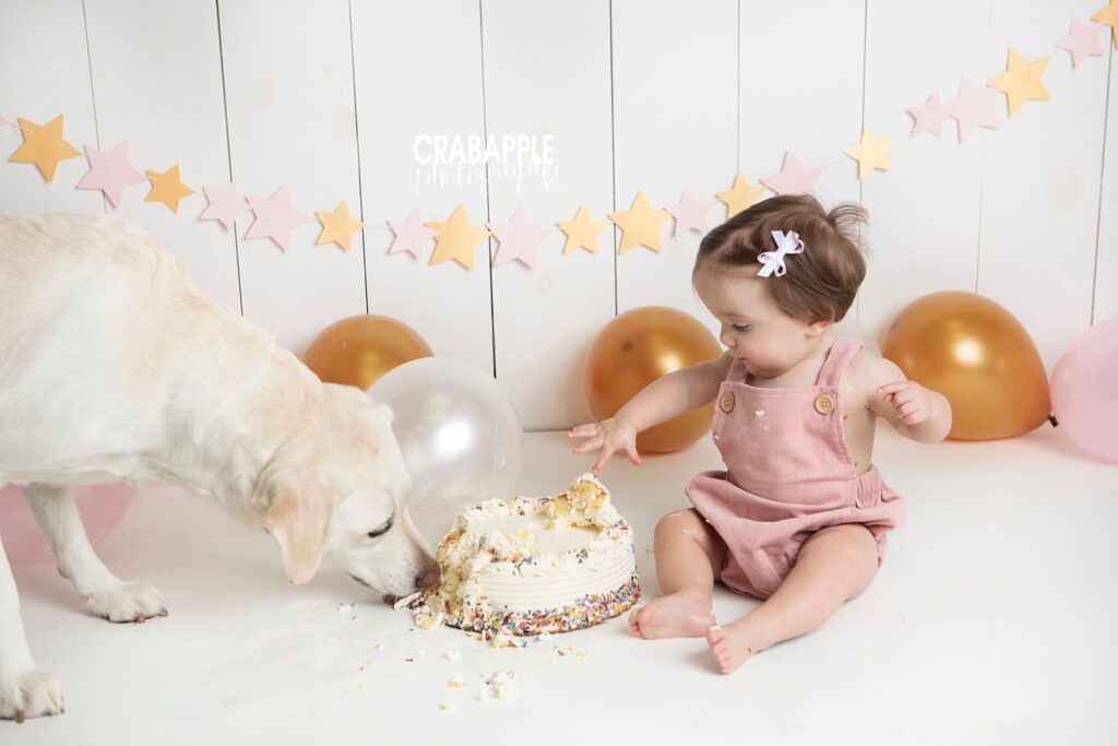 cake smash pictures with dog