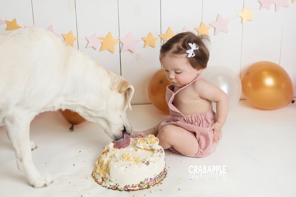 cake smash photos with dogs