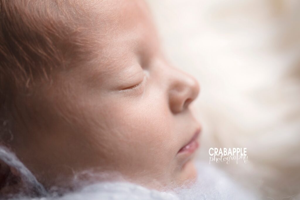 newborn portraits macro photography