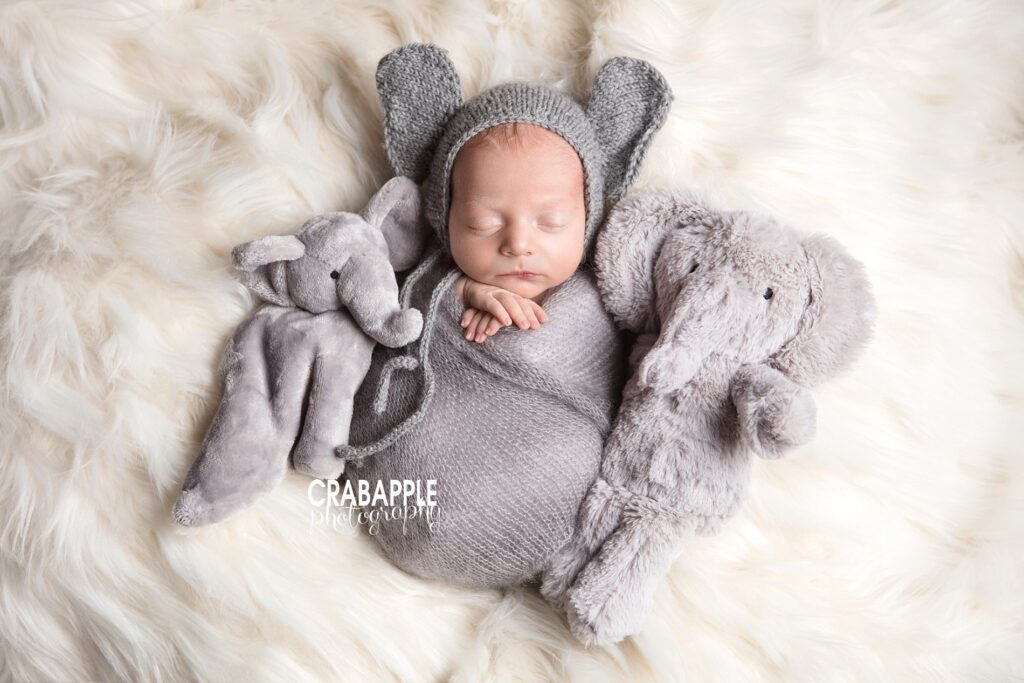newborn photos with elephants