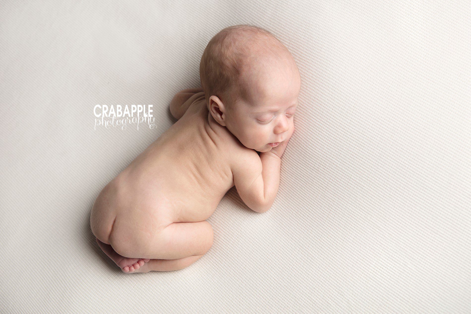 Timeless newborn photos in Andover MA