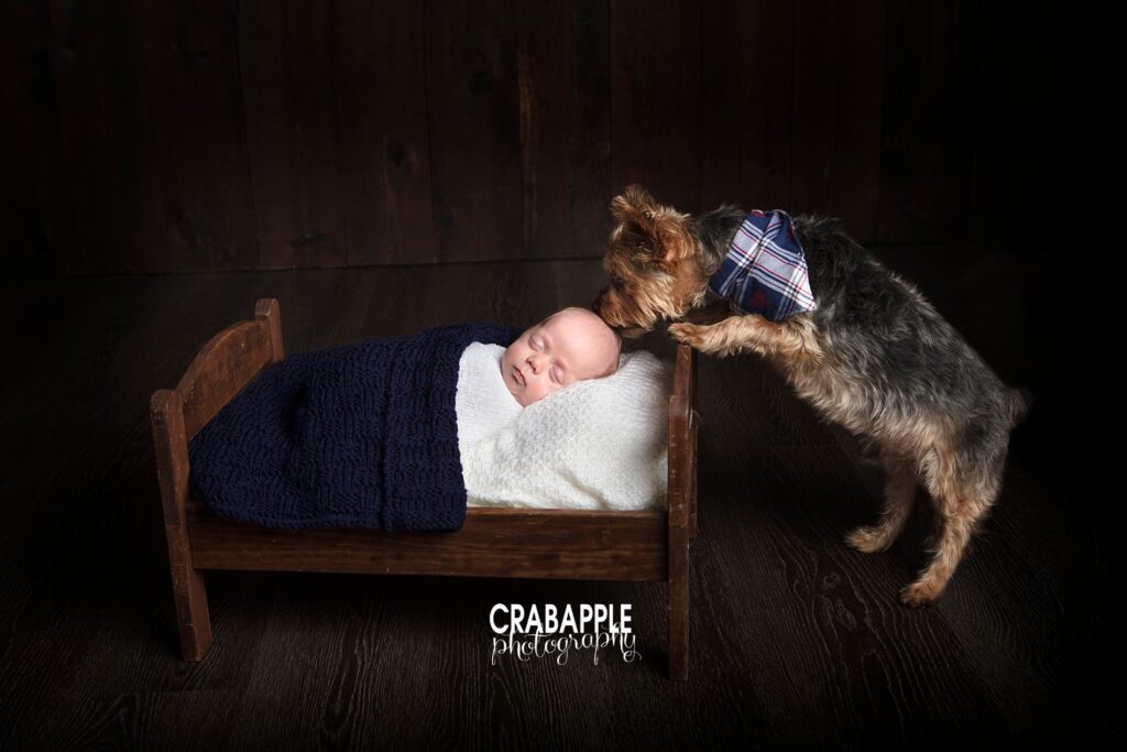newborn pictures with dog
