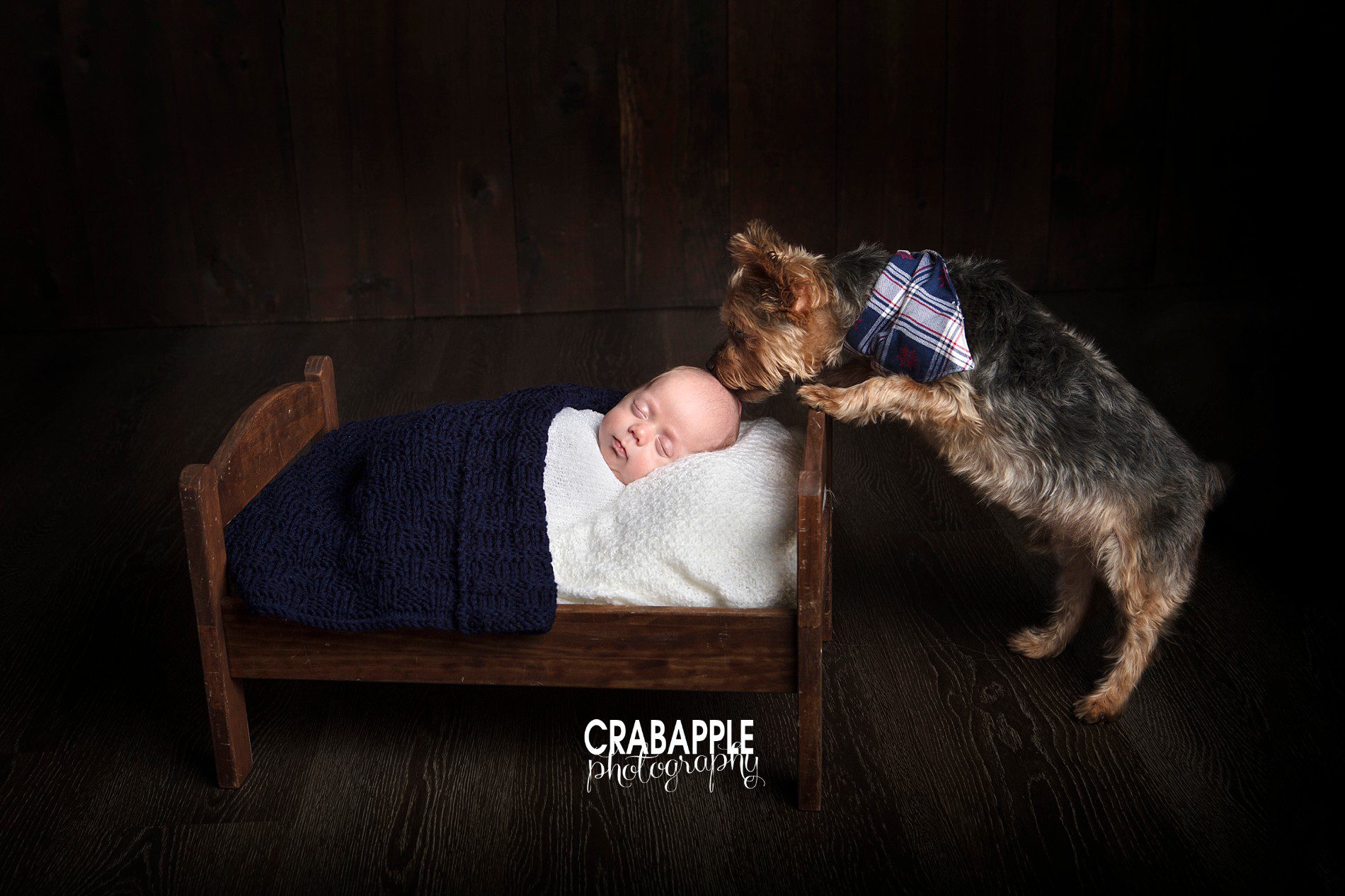 Sweet ideas for newborn photos with dog and wooden bed prop