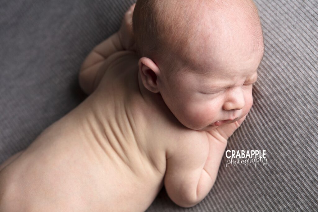 cambridge newborn portraits