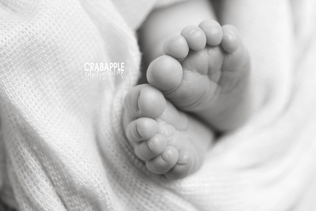 newborn macro photography detail photos