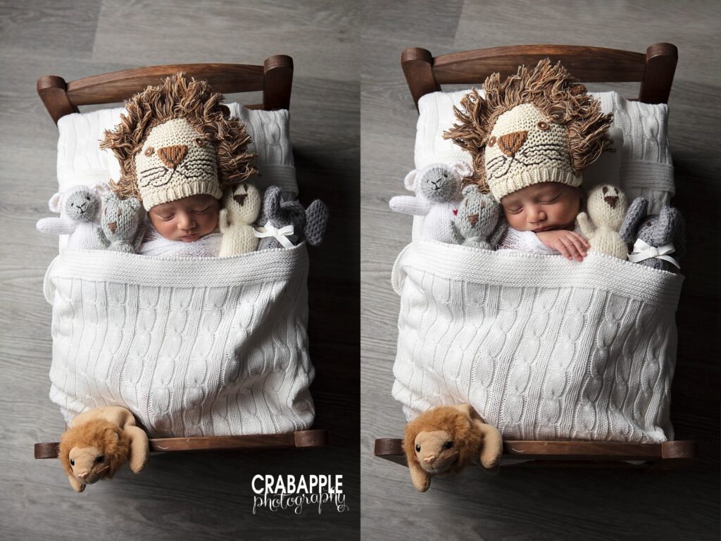 newborn photos with stuffed animals