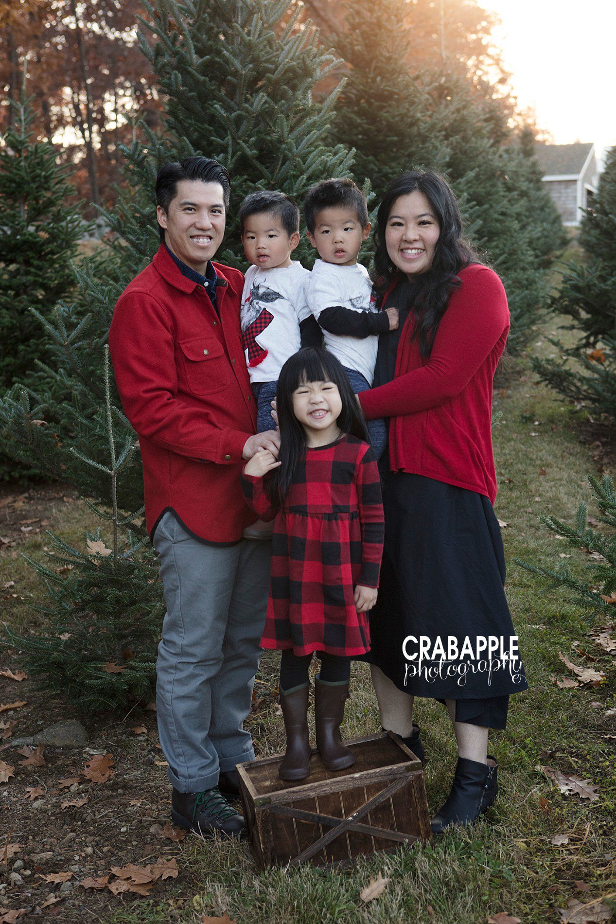 Tree Farm Christmas Photos · Crabapple Photography