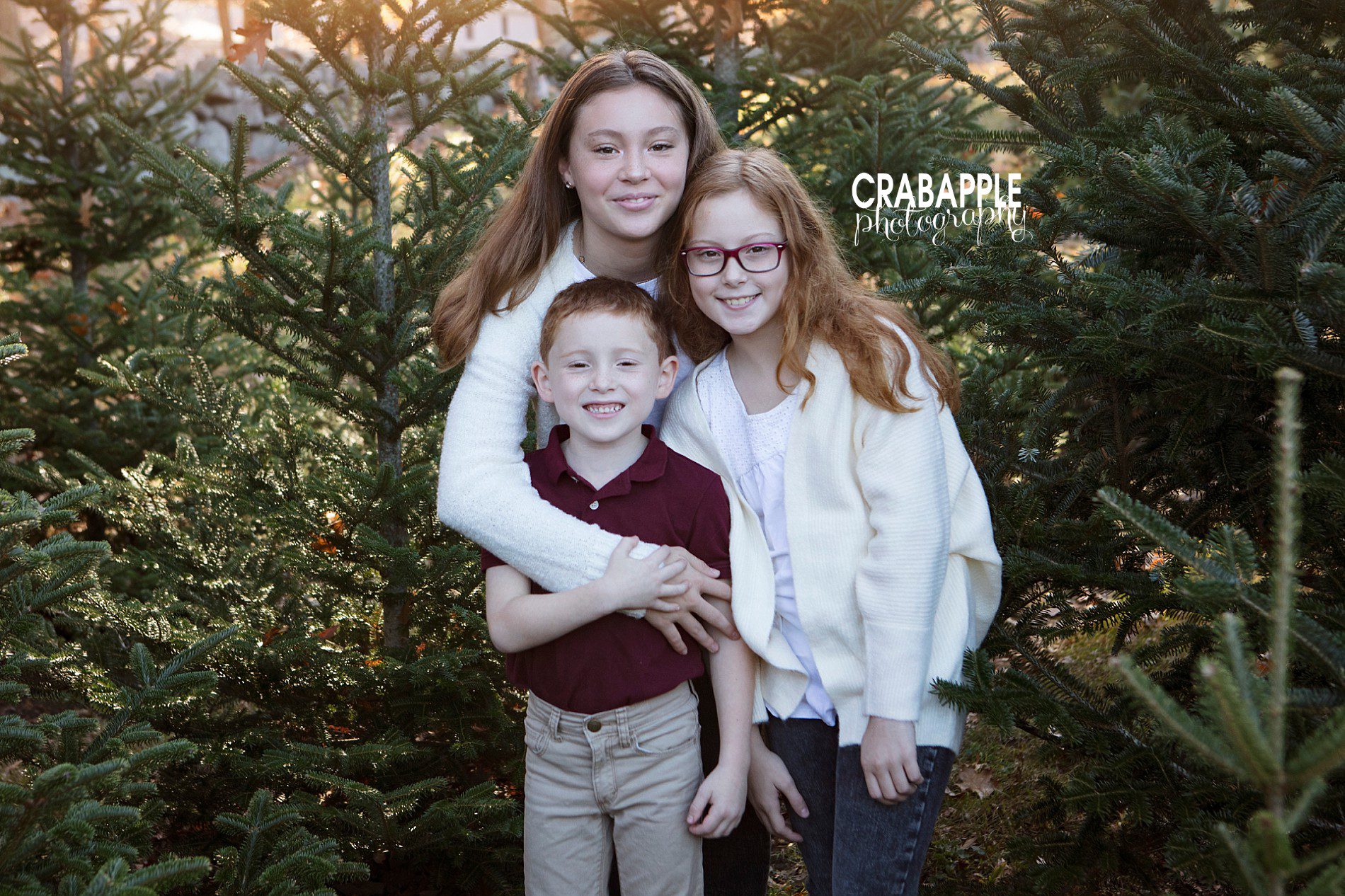 Tree Farm Christmas Photos · Crabapple Photography