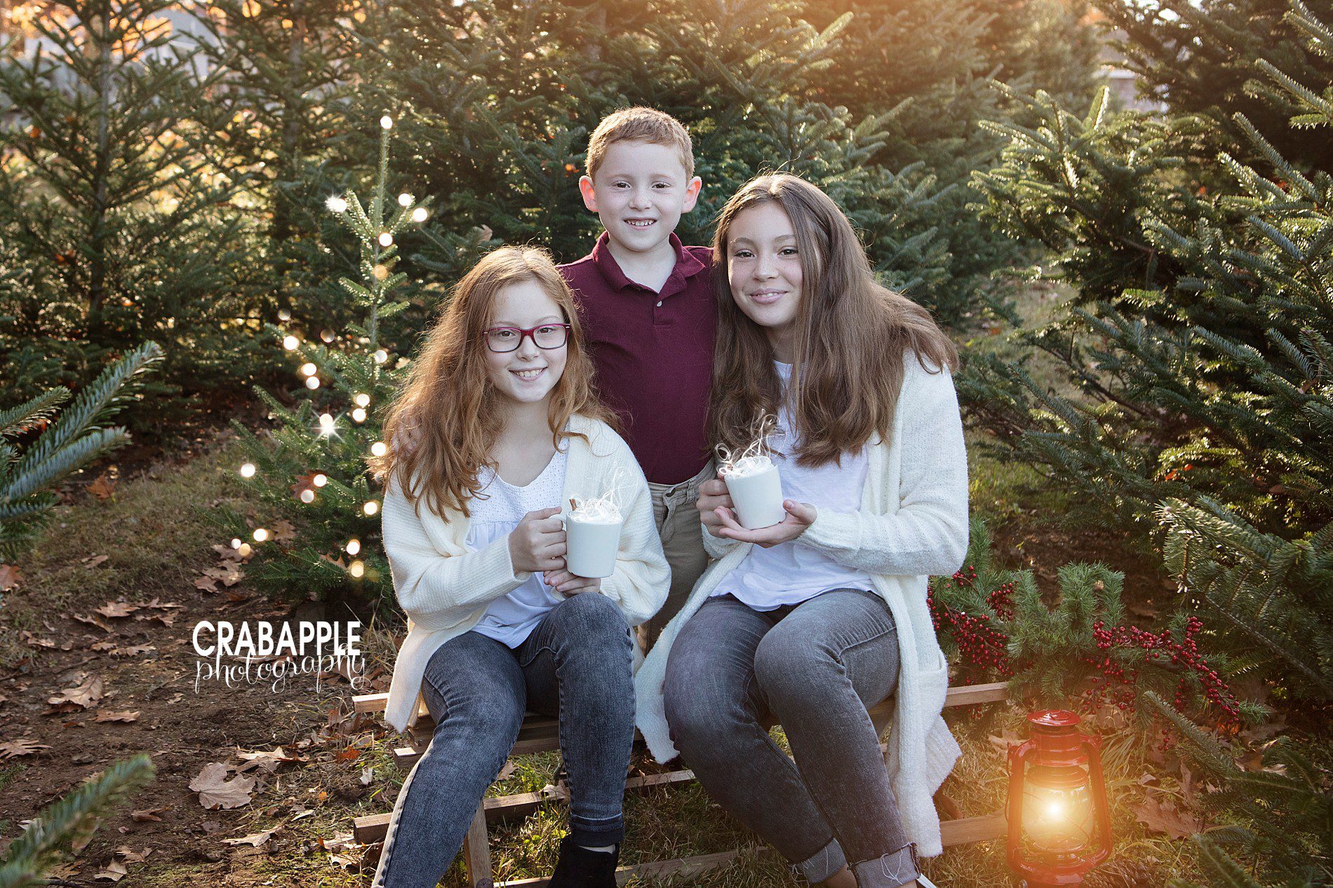 Tree Farm Christmas Photos · Crabapple Photography