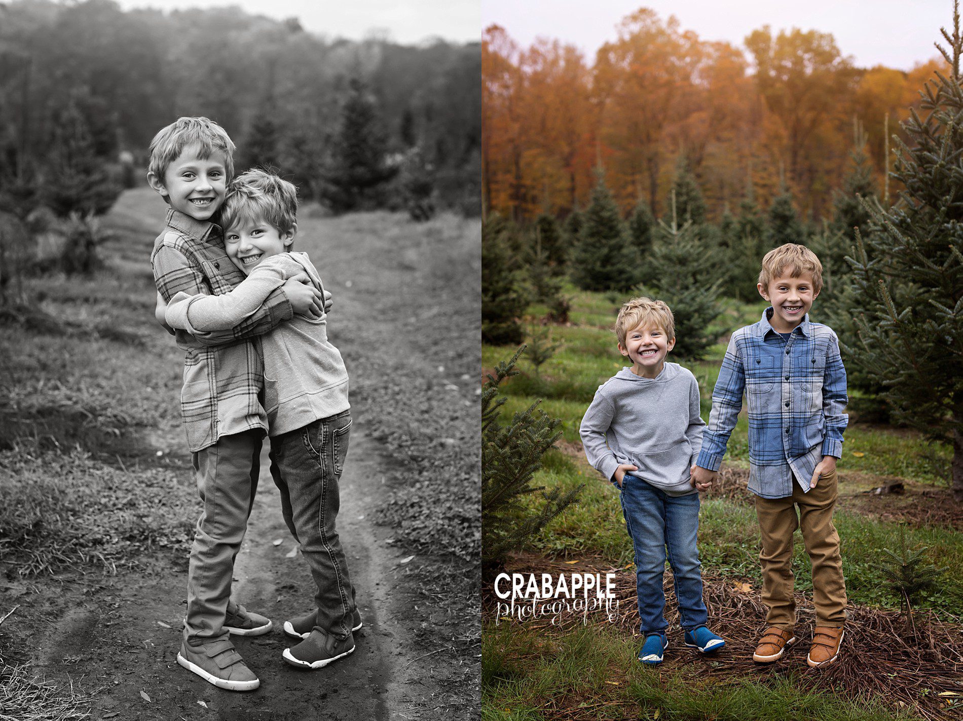 Tree Farm Family Photos · Crabapple Photography