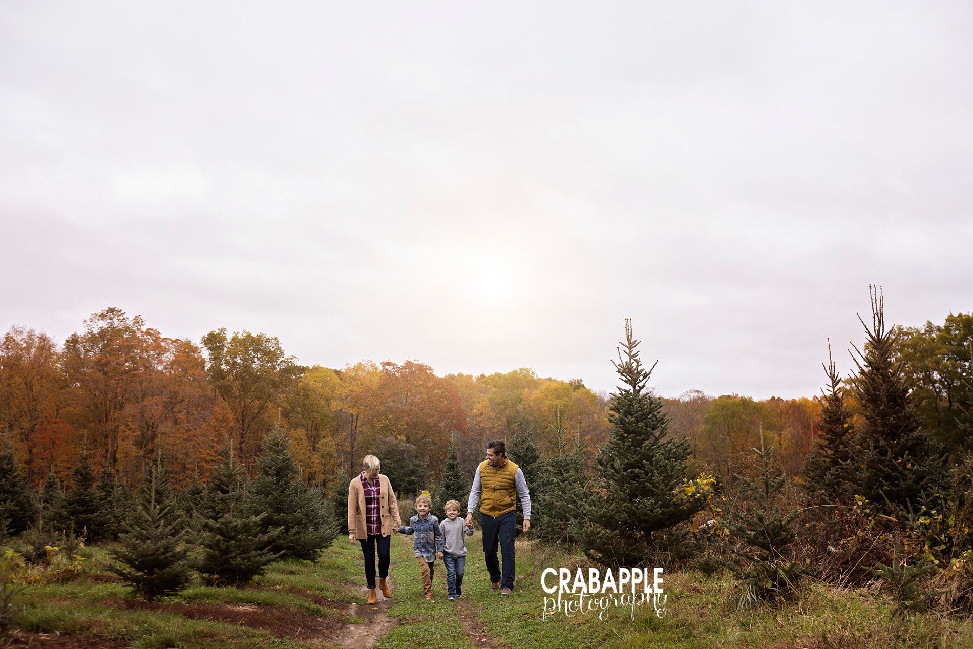 Tree Farm Family Photos · Crabapple Photography