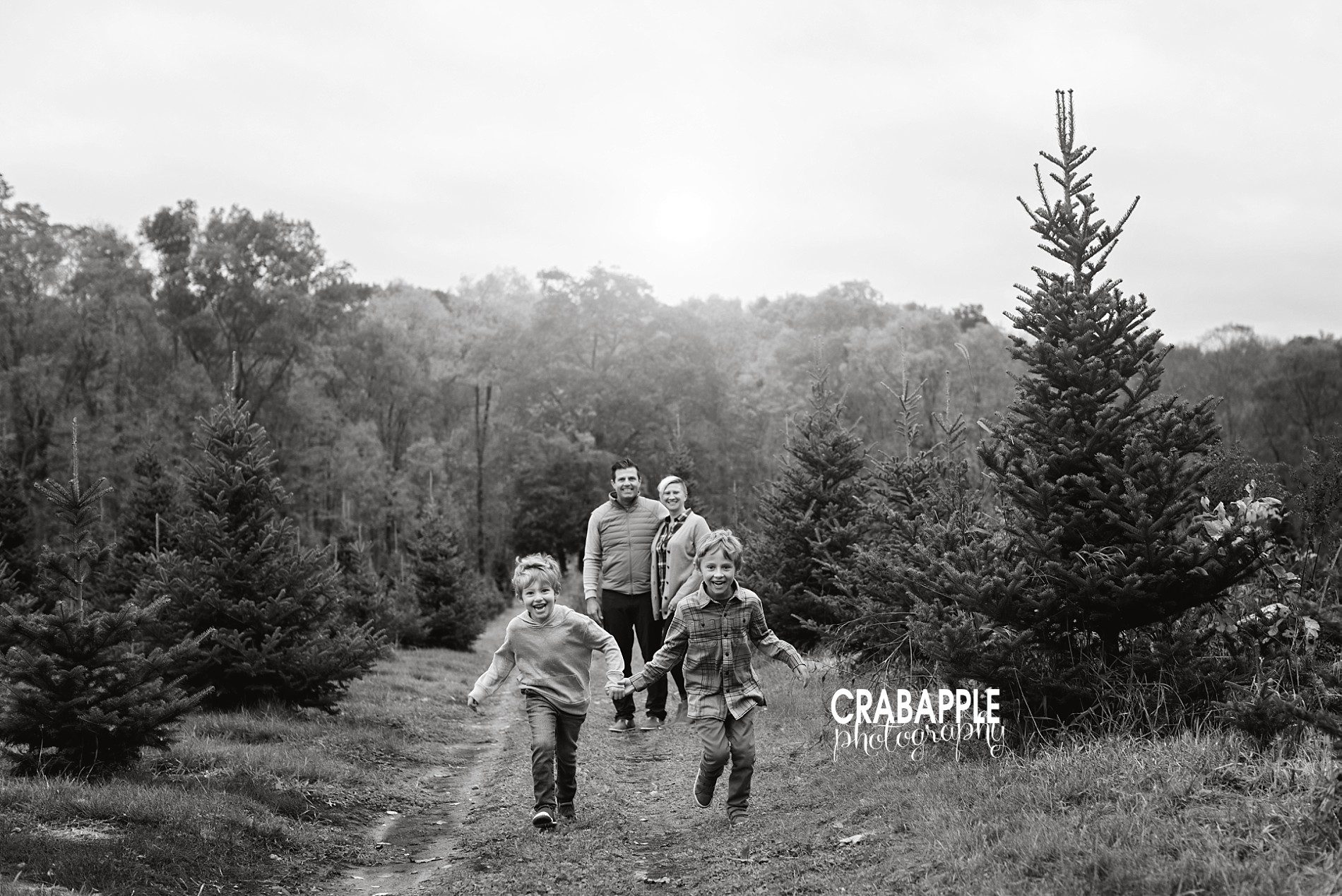 Tree Farm Family Photos · Crabapple Photography