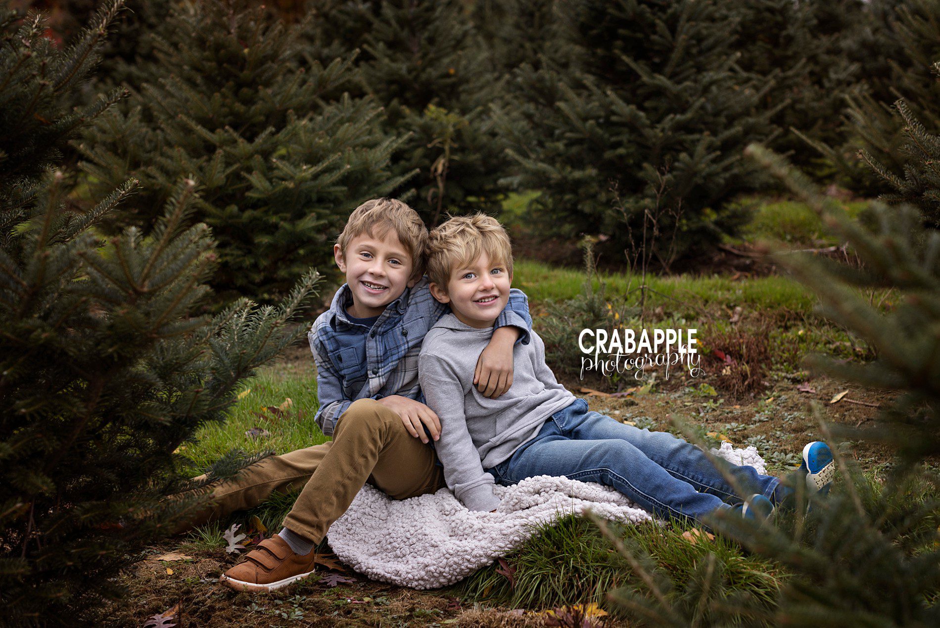 Tree Farm Family Photos · Crabapple Photography