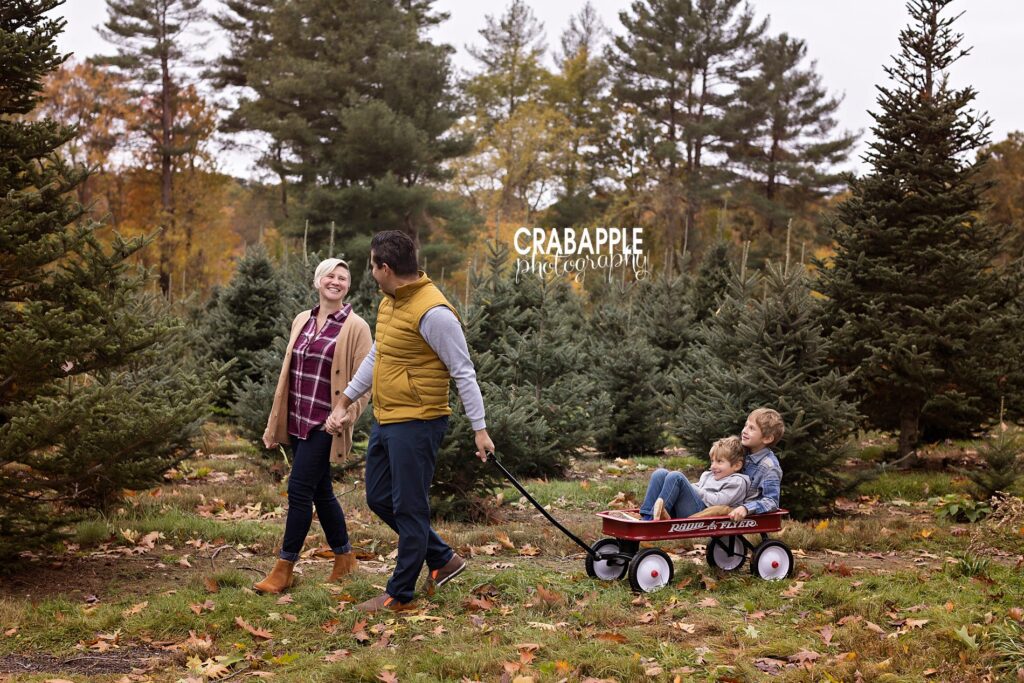 festive family photos