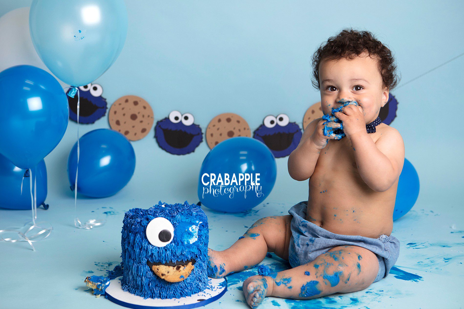 Cookie Monster Party Ideas for a Boy Birthday