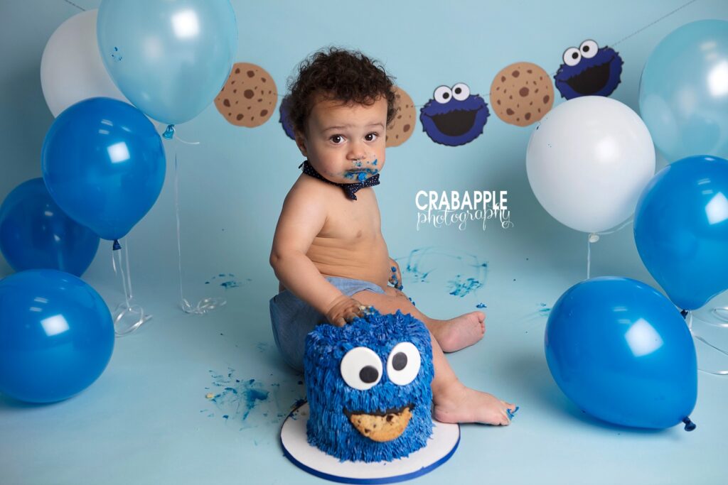 cookie monster 1 year photos