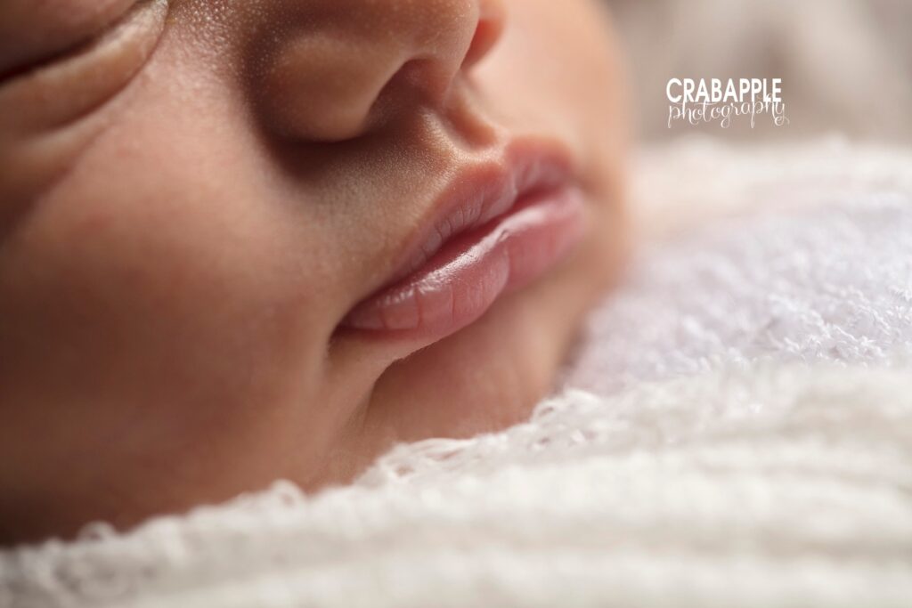 manchester nh newborn photographer