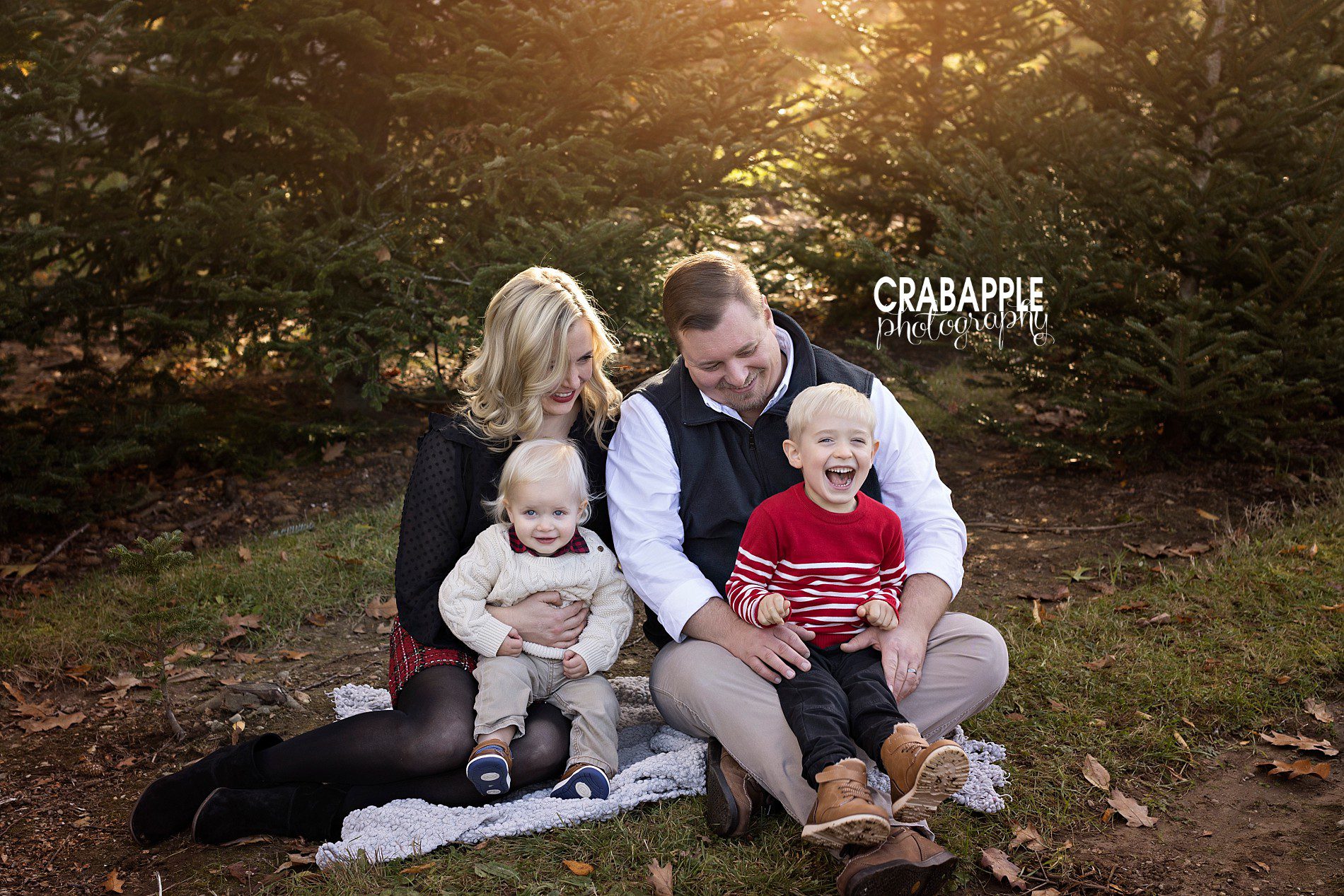 Tree Farm Mini Sessions :: Family Photos · Crabapple Photography
