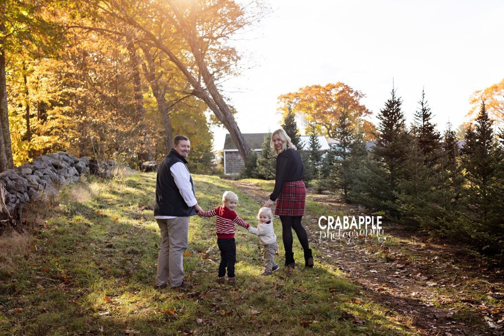 tree farm outdoor family photography
