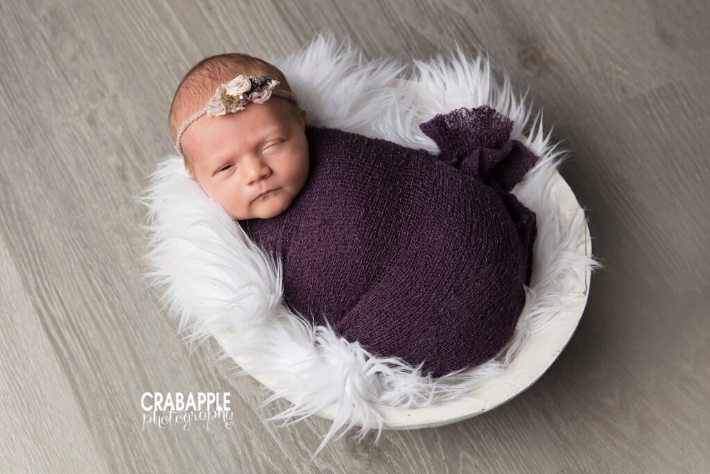 chelmsford baby photos