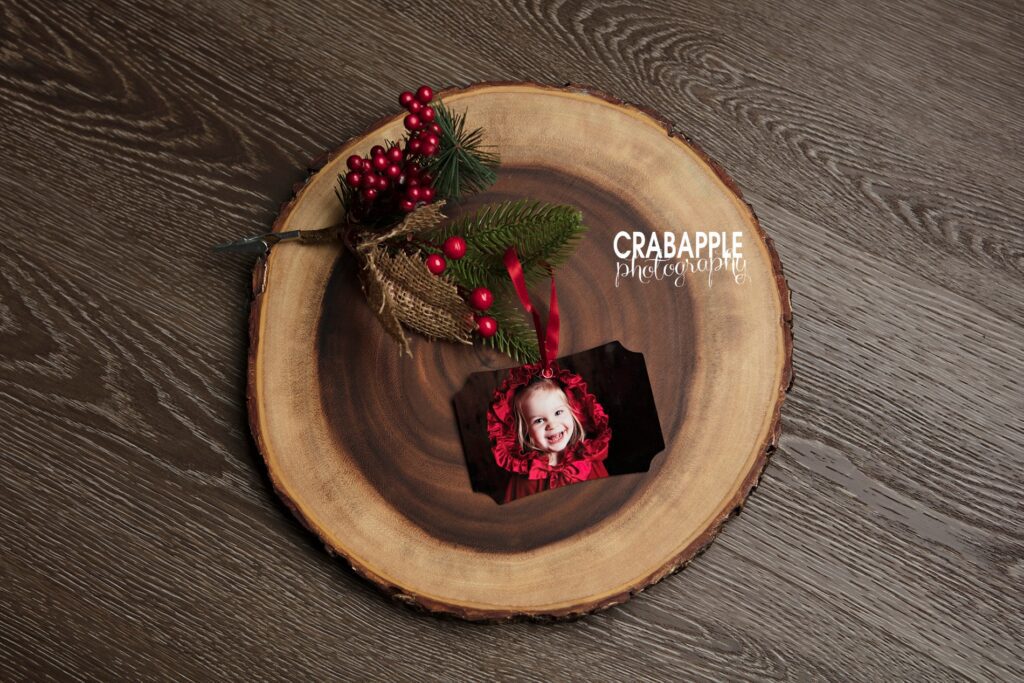 professional photography christmas items