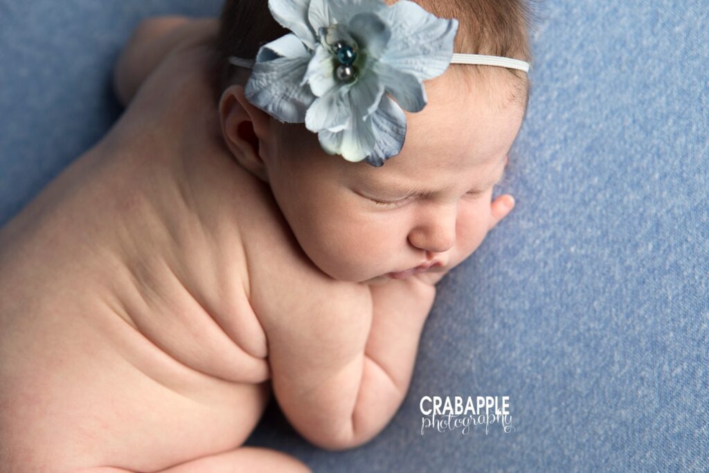 somerville newborn photography