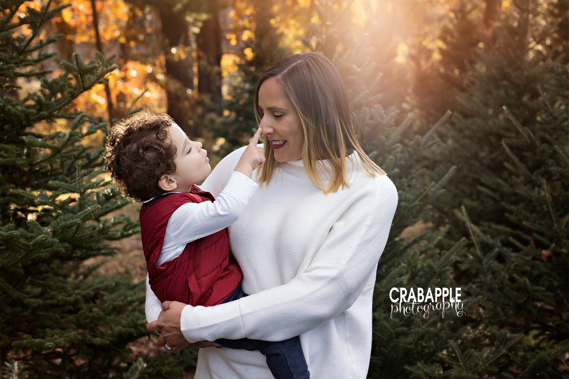 tree farm family pictures