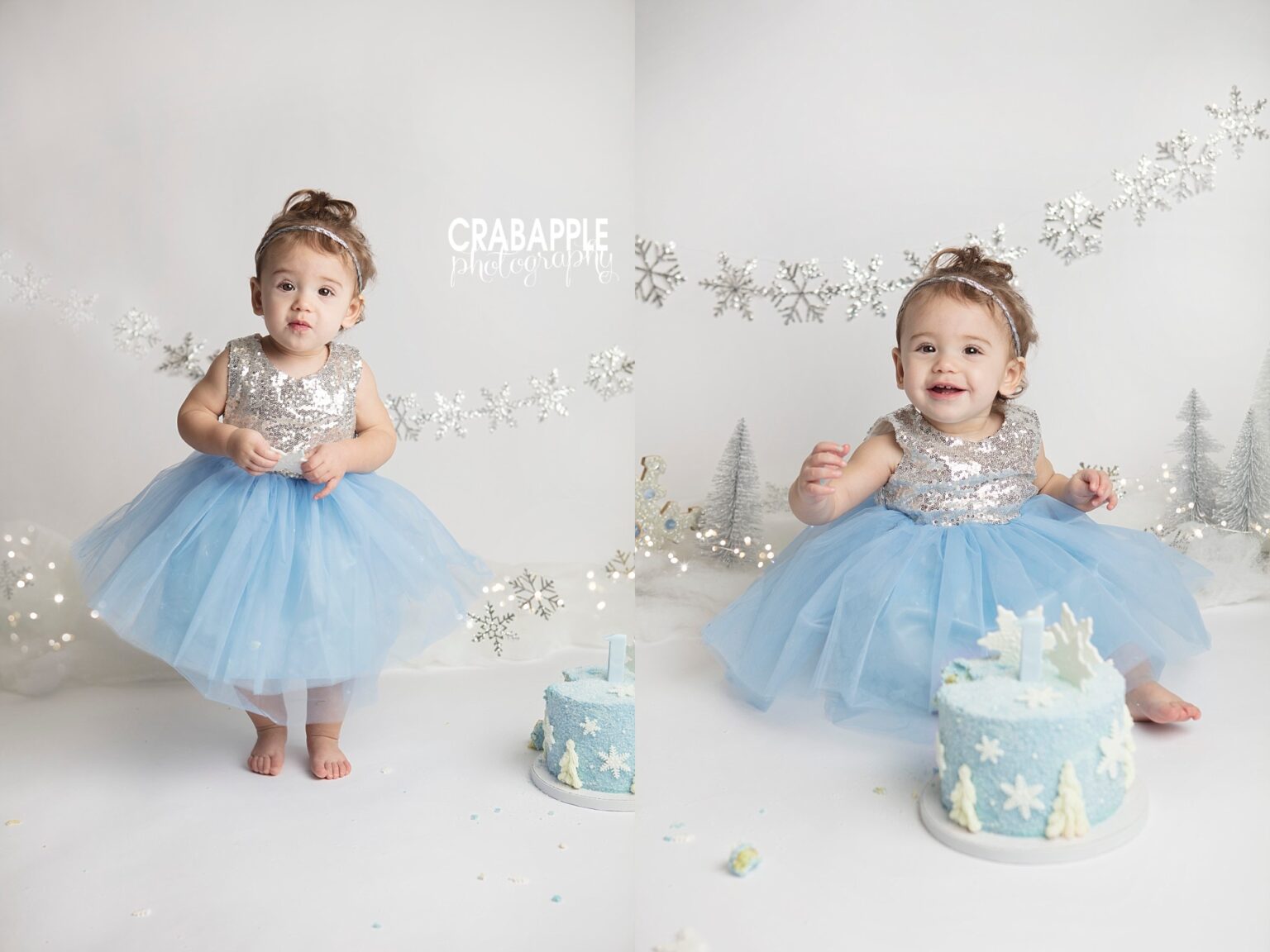 Winter Cake Smash Photos :: Miss L · Crabapple Photography
