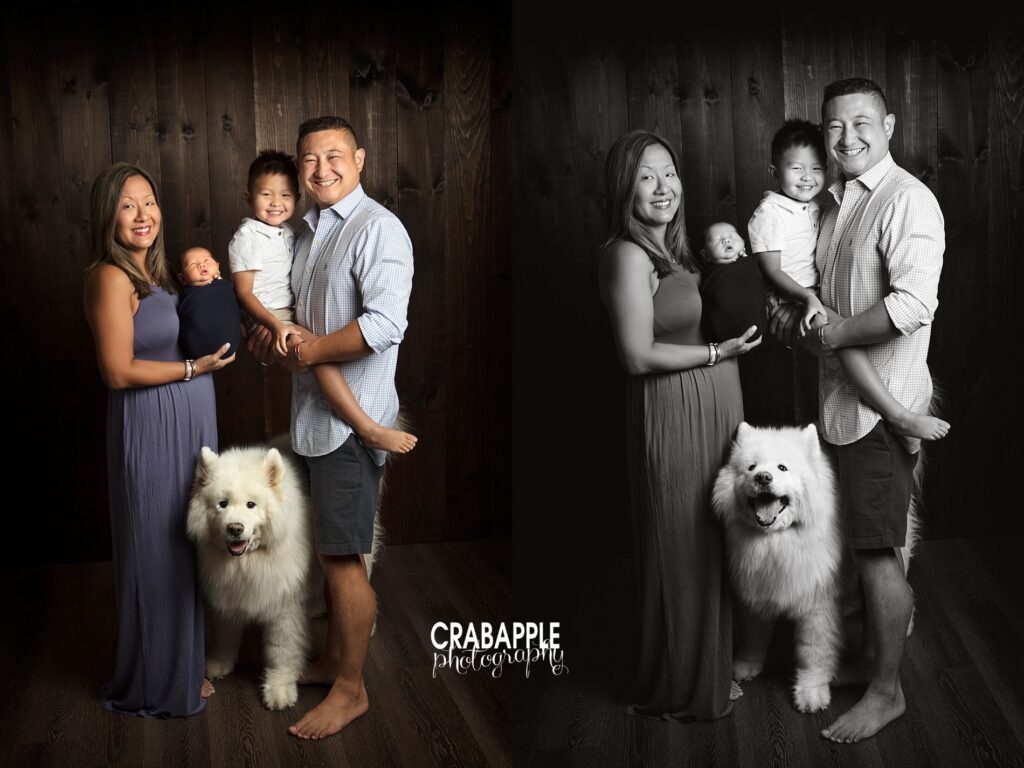family photos with newborn and dog
