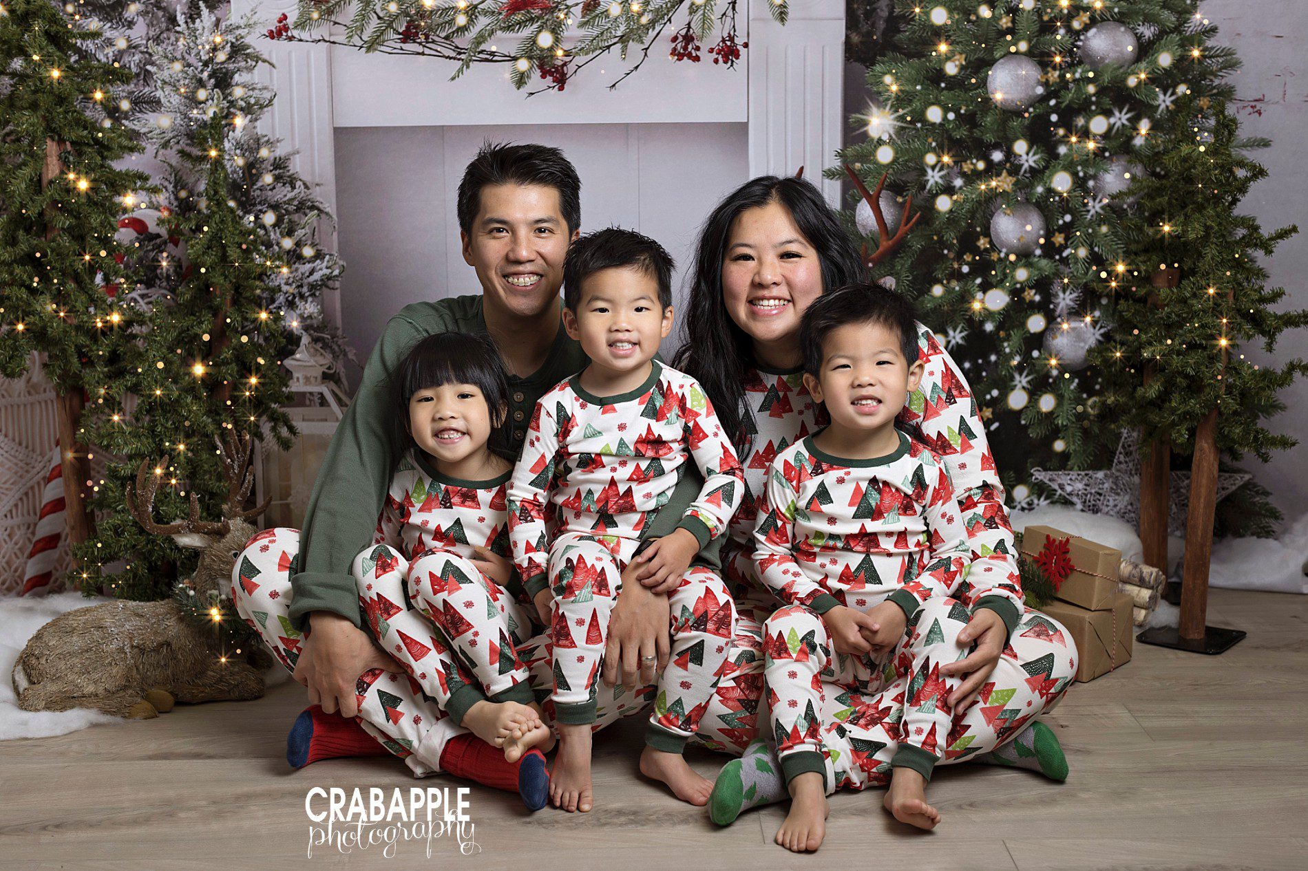 whole family matching pajamas for christmas and holiday photos