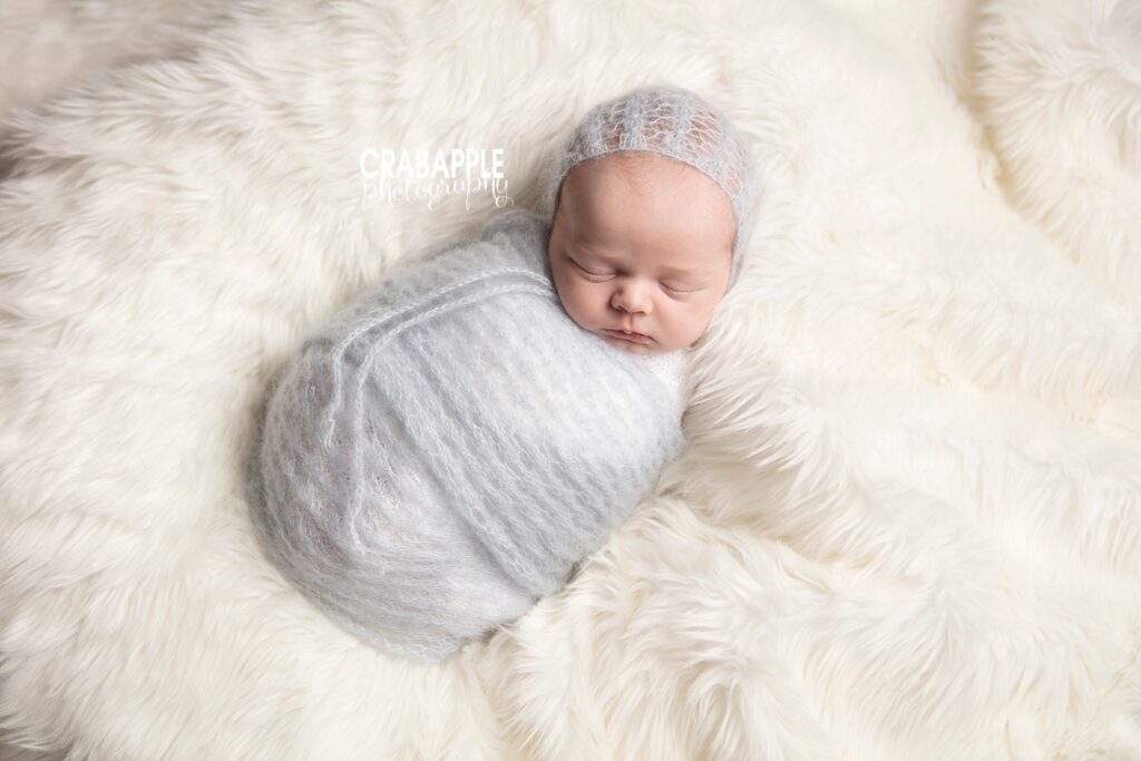 littleton newborn photography