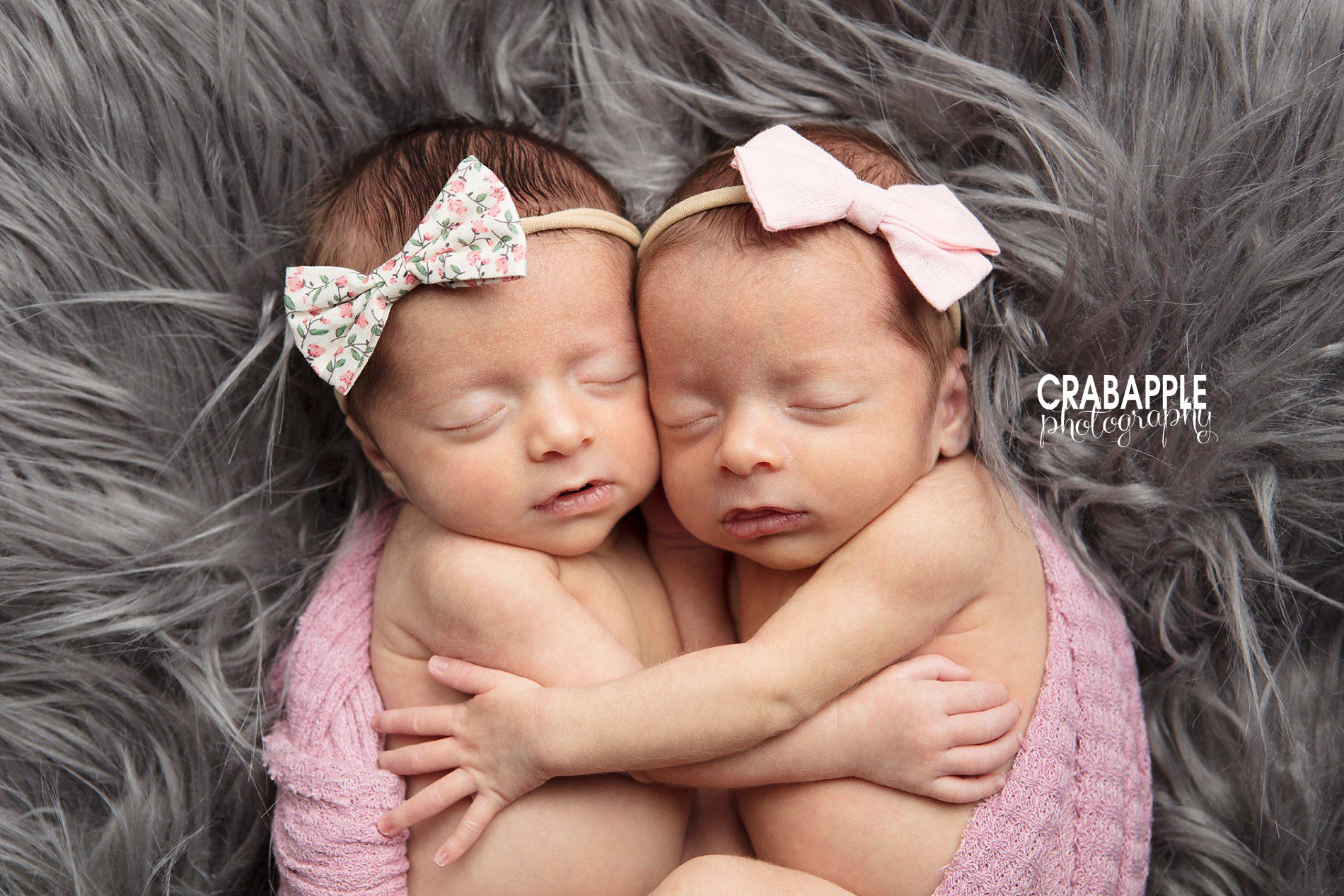 Pops of pink and gray in twin newborn photos