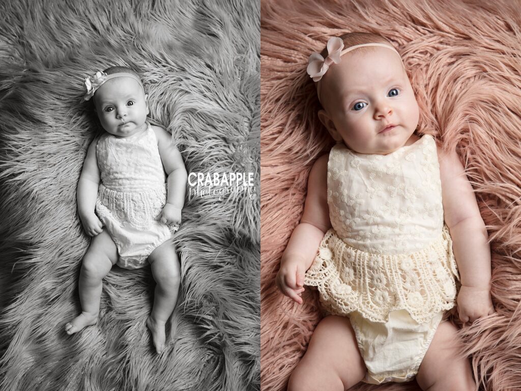 melrose baby photography