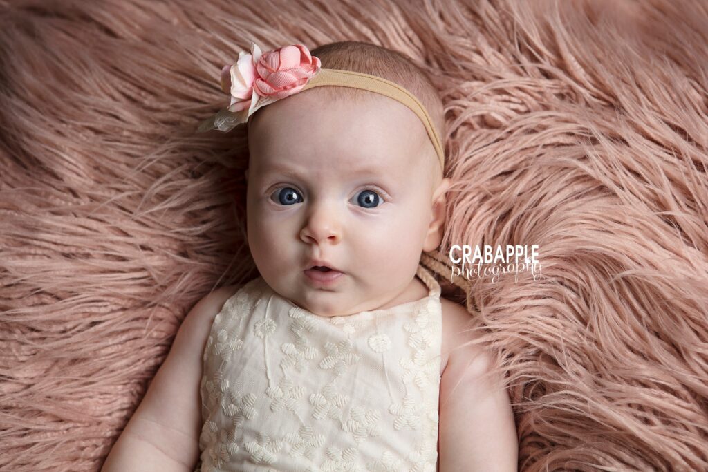 melrose baby photographer