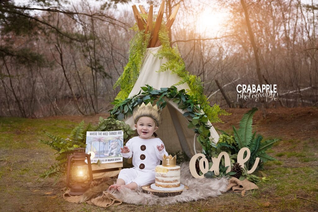 where the wild things are cake smash ideas